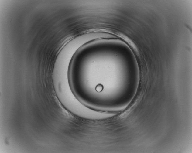 X0000099230809200805011135