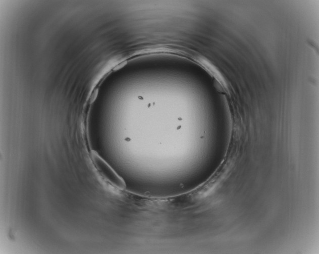 X0000099230813200805011135