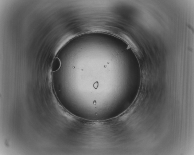 X0000099230814200805011135