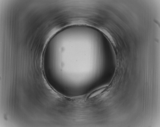 X0000099230815200805011135