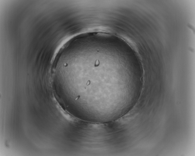 X0000099230816200805011135