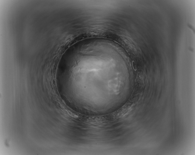 X0000099230817200805011135