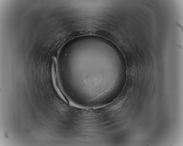 X0000099230818200805011135