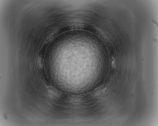 X0000099230819200805011135