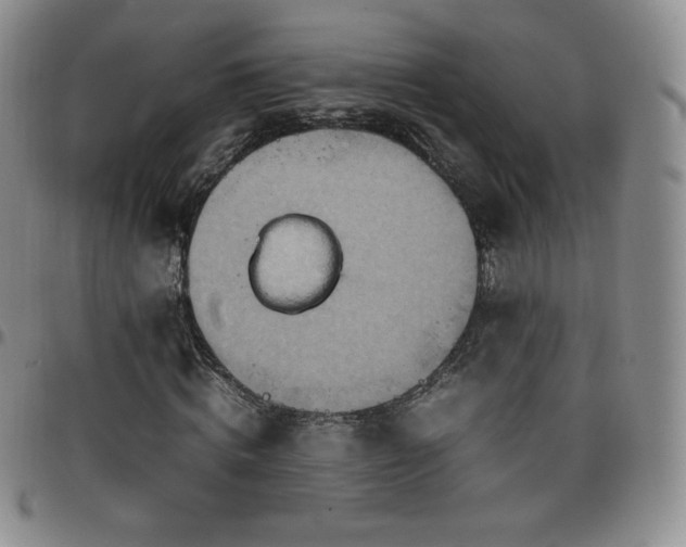 X0000099230820200805011135