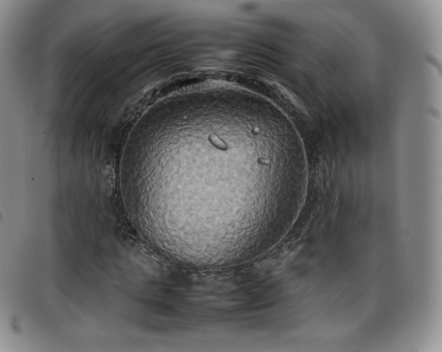 X0000099230821200805011135