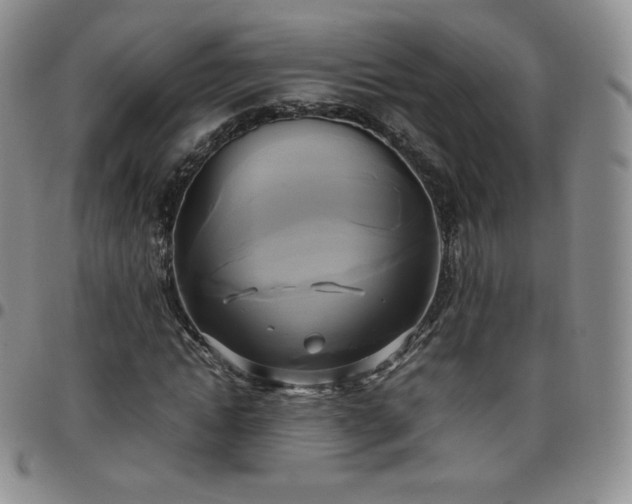 X0000099230822200805011135