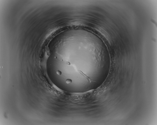 X0000099230823200805011135