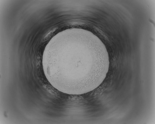 X0000099230824200805011135