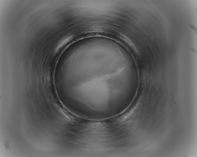 X0000099230826200805011135