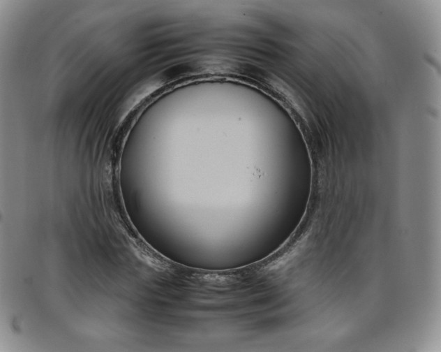 X0000099230827200805011135