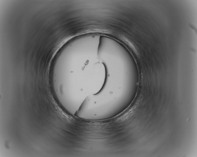 X0000099230828200805011135