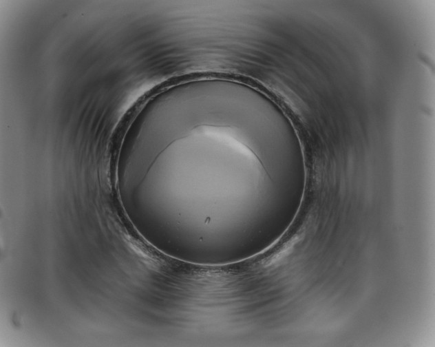 X0000099230830200805011135