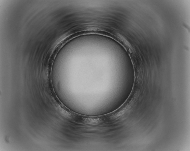 X0000099230831200805011135