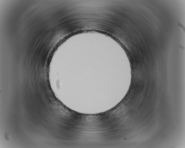 X0000099230832200805011135