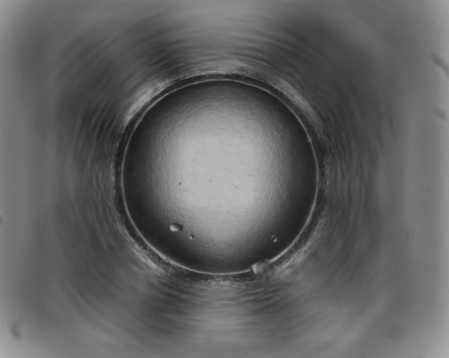 X0000099230834200805011135