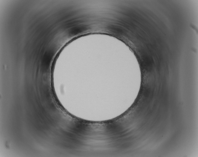 X0000099230836200805011135