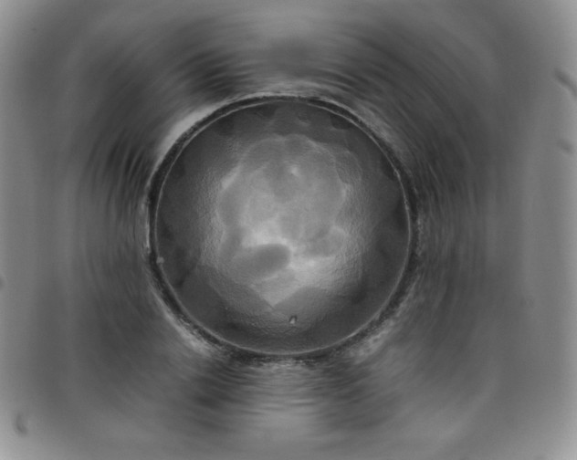 X0000099230838200805011135