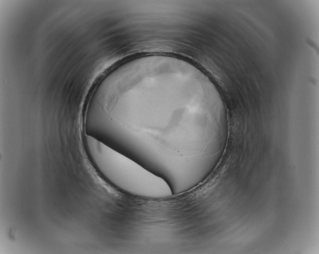 X0000099230840200805011135