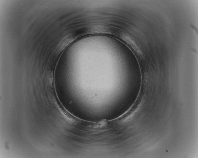 X0000099230841200805011135