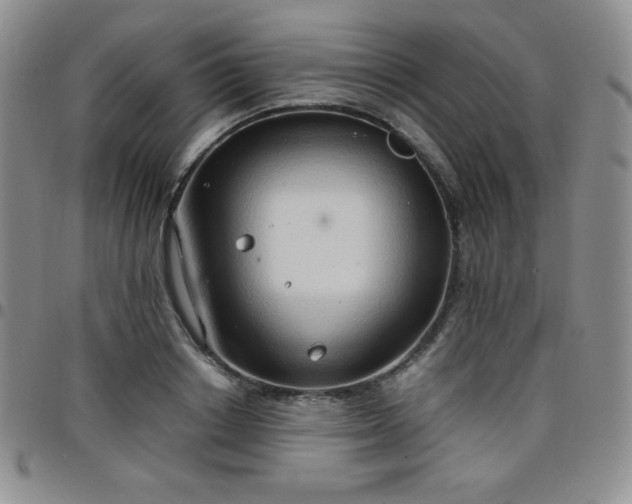 X0000099230842200805011135