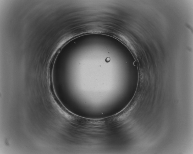 X0000099230843200805011135