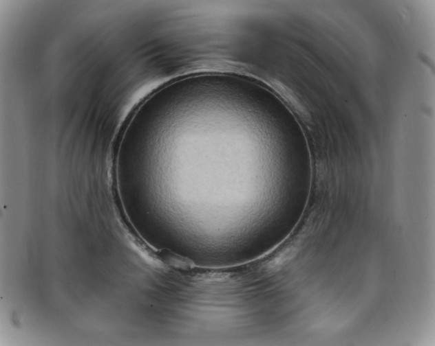 X0000099230846200805011135