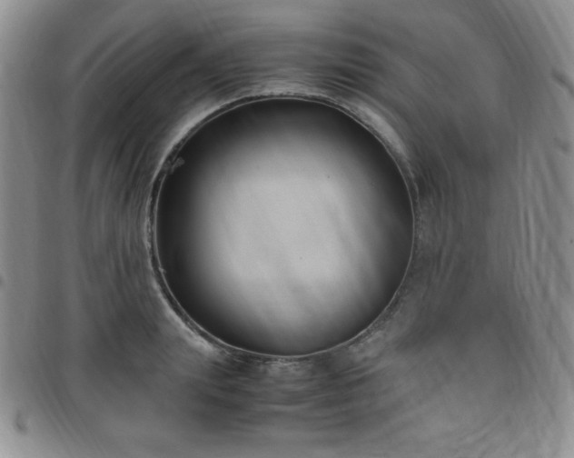 X0000099230847200805011135