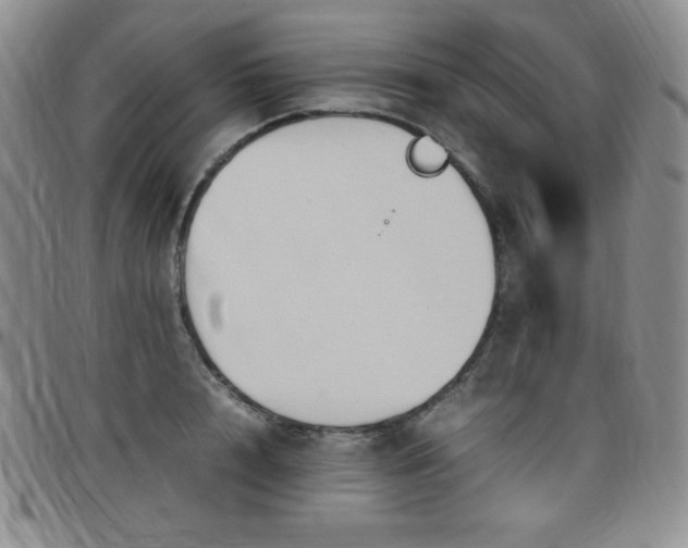 X0000099230848200805011135