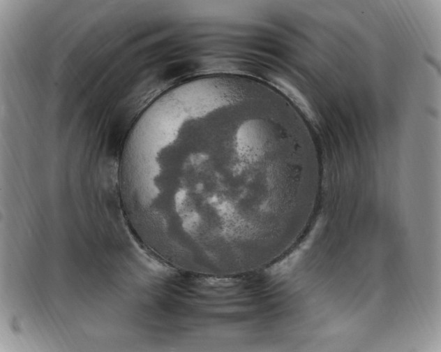 X0000099230849200805011135