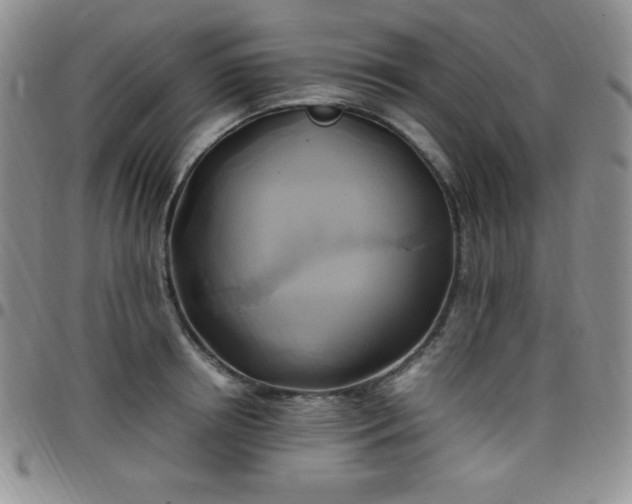 X0000099230850200805011135