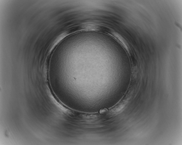 X0000099230851200805011135