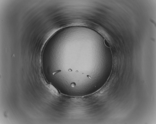 X0000099230852200805011135