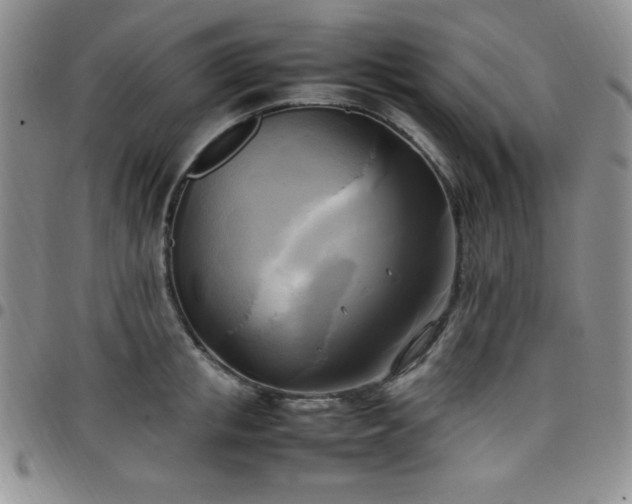 X0000099230853200805011135