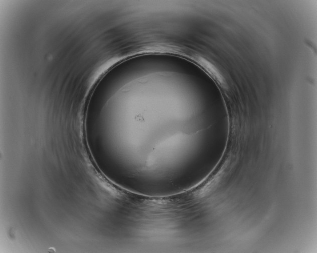 X0000099230854200805011135