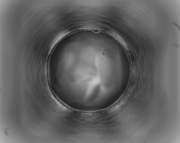 X0000099230855200805011135