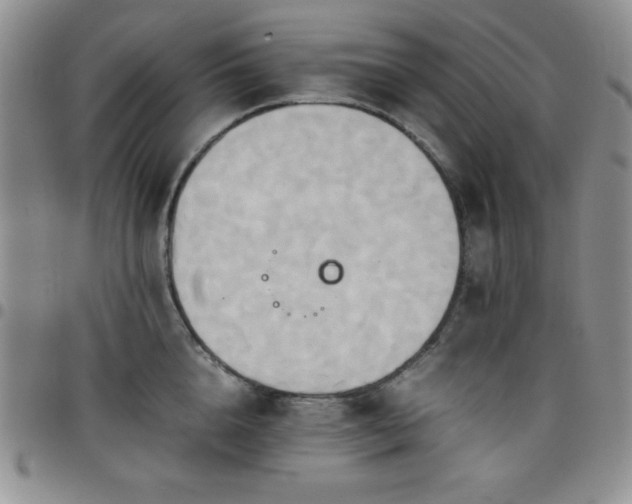 X0000099230856200805011135