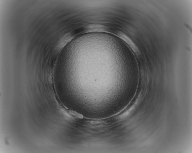 X0000099230857200805011135