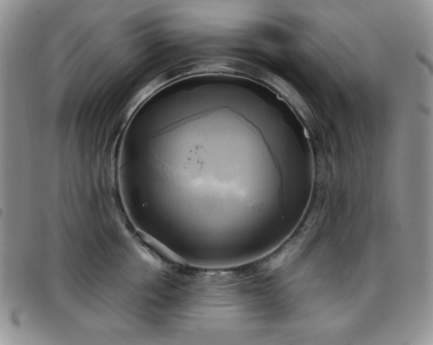 X0000099230858200805011135