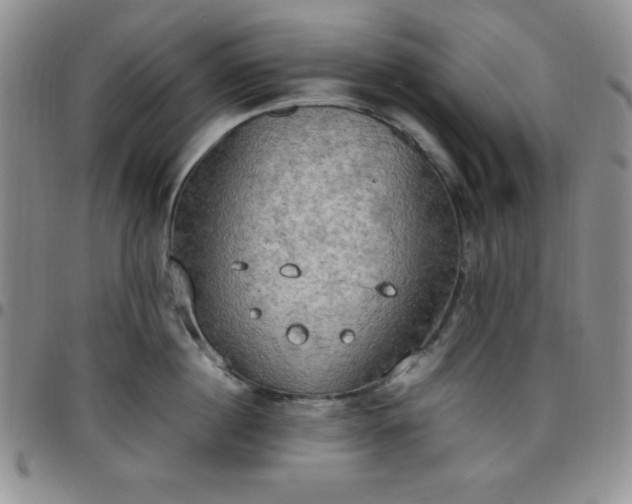 X0000099230860200805011135