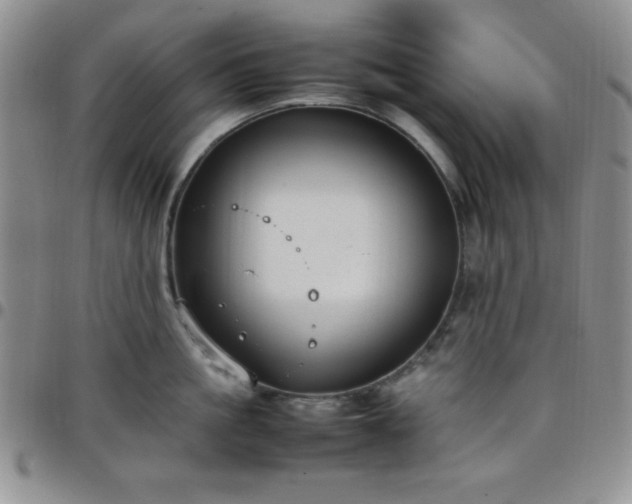 X0000099230861200805011135