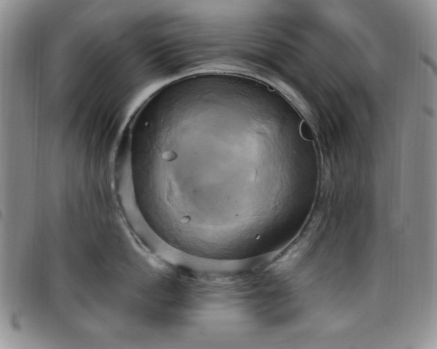 X0000099230862200805011135