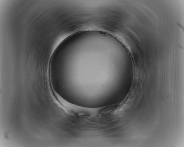 X0000099230863200805011135