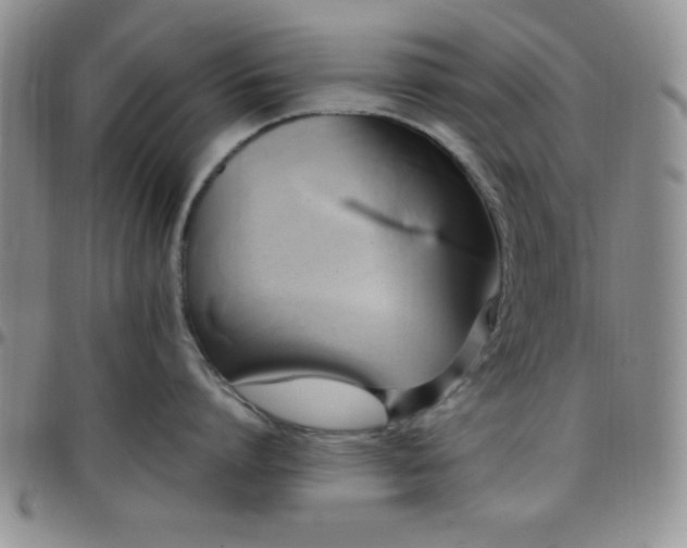 X0000099230864200805011135