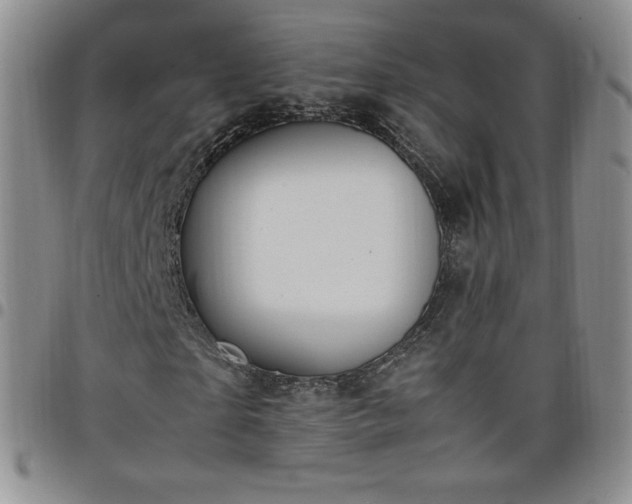 X0000099230865200805011135