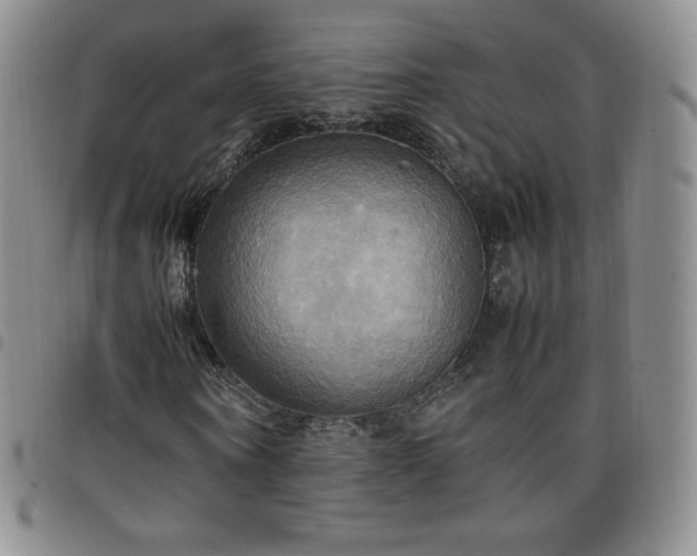 X0000099230866200805011134