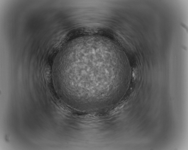 X0000099230867200805011134