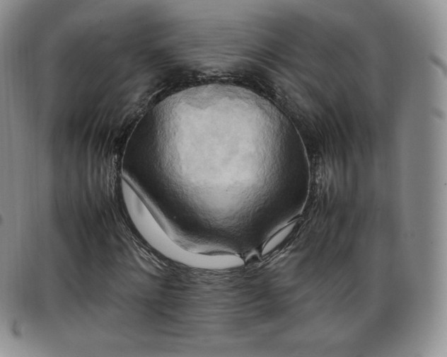 X0000099230868200805011134