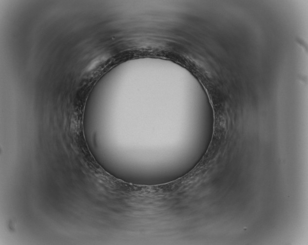 X0000099230869200805011134