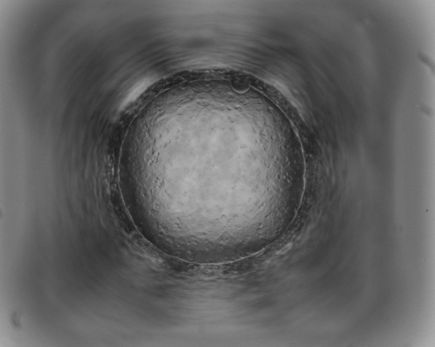 X0000099230871200805011134